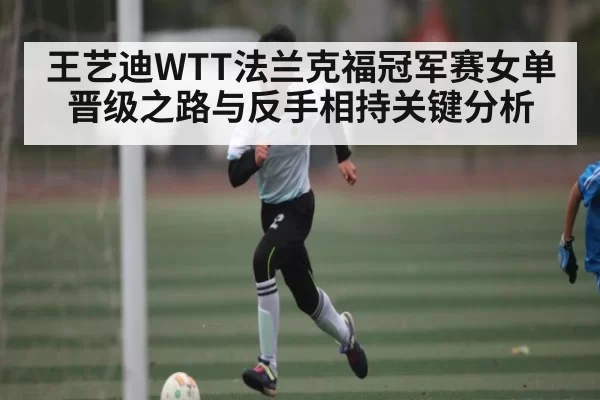王艺迪WTT法兰克福冠军赛女单晋级之路与反手相持关键分析